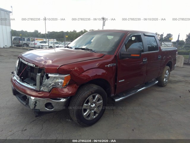 Photo 1 VIN: 1FTFW1CT4EKE36267 - FORD F-150 