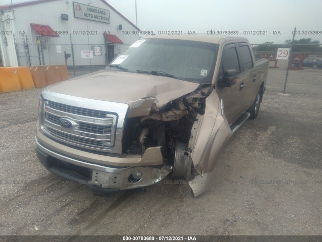 Photo 1 VIN: 1FTFW1CT5DKF90887 - FORD F-150 