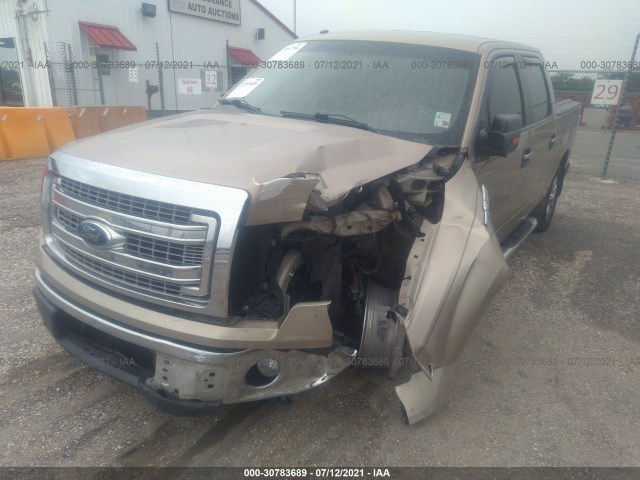 Photo 5 VIN: 1FTFW1CT5DKF90887 - FORD F-150 