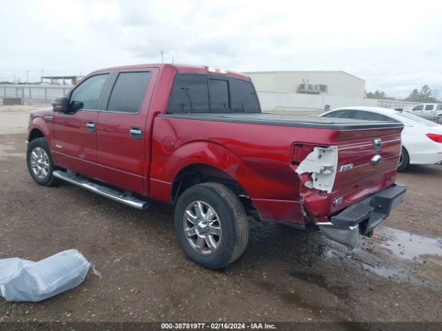 Photo 2 VIN: 1FTFW1CT5EKE36973 - FORD F-150 