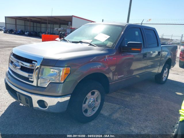 Photo 1 VIN: 1FTFW1CT6DFB24166 - FORD F-150 