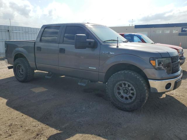 Photo 3 VIN: 1FTFW1CT6DKE56843 - FORD F150 SUPER 