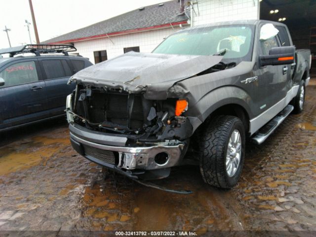 Photo 5 VIN: 1FTFW1CT7BFB39126 - FORD F-150 