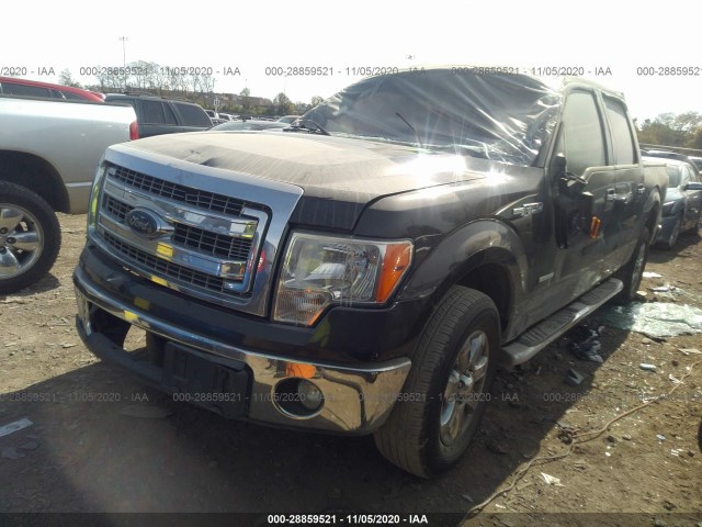 Photo 1 VIN: 1FTFW1CT7DFA78007 - FORD F-150 