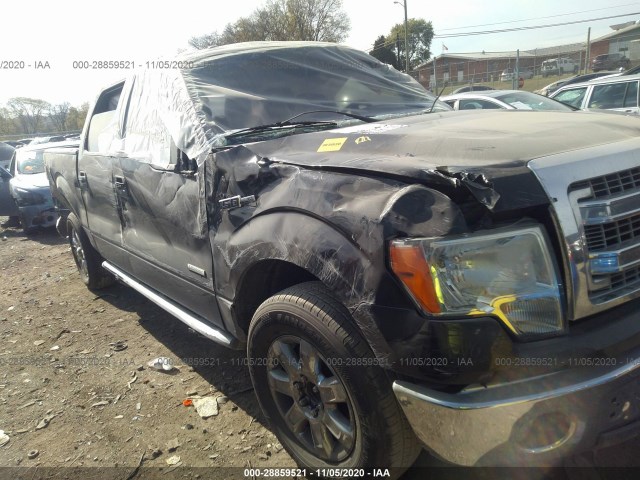 Photo 5 VIN: 1FTFW1CT7DFA78007 - FORD F-150 