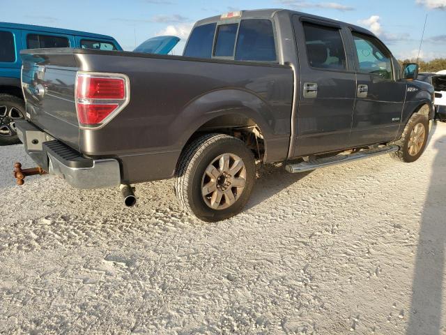 Photo 2 VIN: 1FTFW1CT7DFD23503 - FORD F150 SUPER 