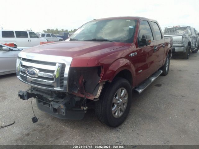 Photo 1 VIN: 1FTFW1CT7DKE69598 - FORD F-150 