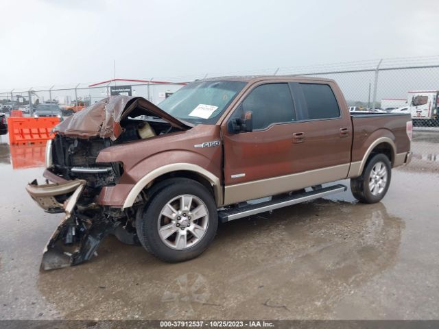 Photo 1 VIN: 1FTFW1CT9BFD10135 - FORD F-150 