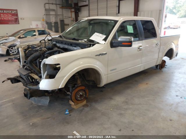 Photo 1 VIN: 1FTFW1CT9EFA06954 - FORD F-150 