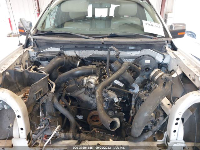 Photo 9 VIN: 1FTFW1CT9EFA06954 - FORD F-150 