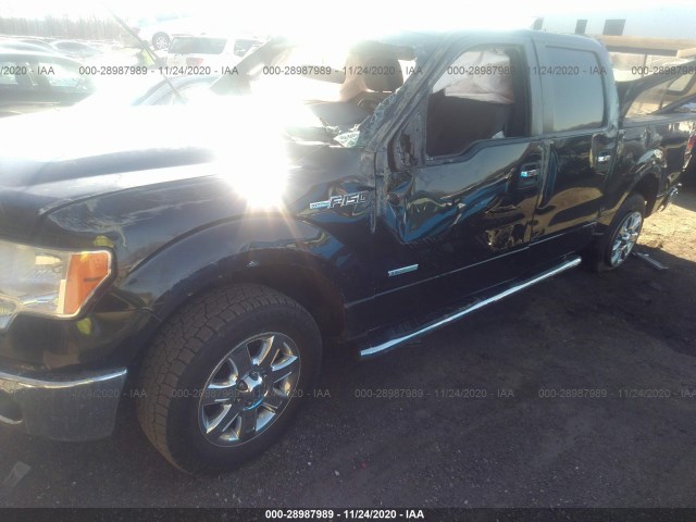 Photo 1 VIN: 1FTFW1CT9EFC34324 - FORD F-150 