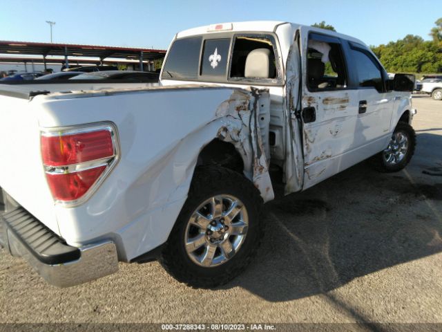 Photo 5 VIN: 1FTFW1CT9EKG42412 - FORD F-150 