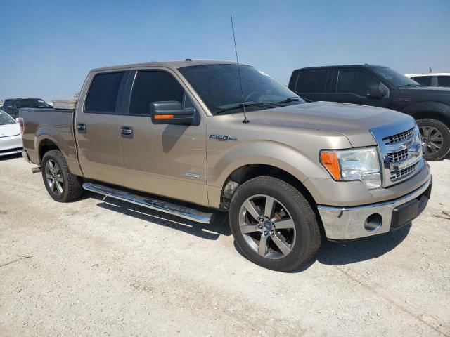 Photo 3 VIN: 1FTFW1CTXDFC77262 - FORD F150 SUPER 