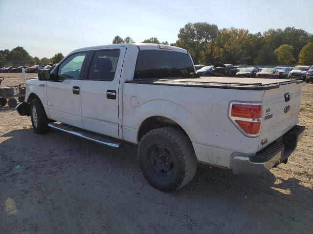 Photo 1 VIN: 1FTFW1CTXDKG47813 - FORD F150 SUPER 