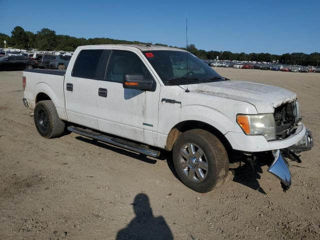 Photo 3 VIN: 1FTFW1CTXDKG47813 - FORD F150 SUPER 