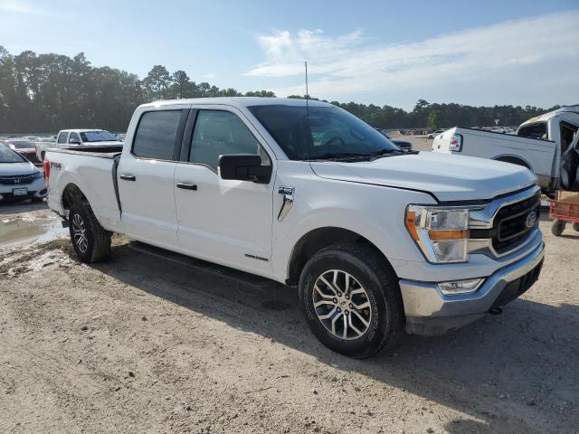 Photo 3 VIN: 1FTFW1E17MFC73777 - FORD F-150 