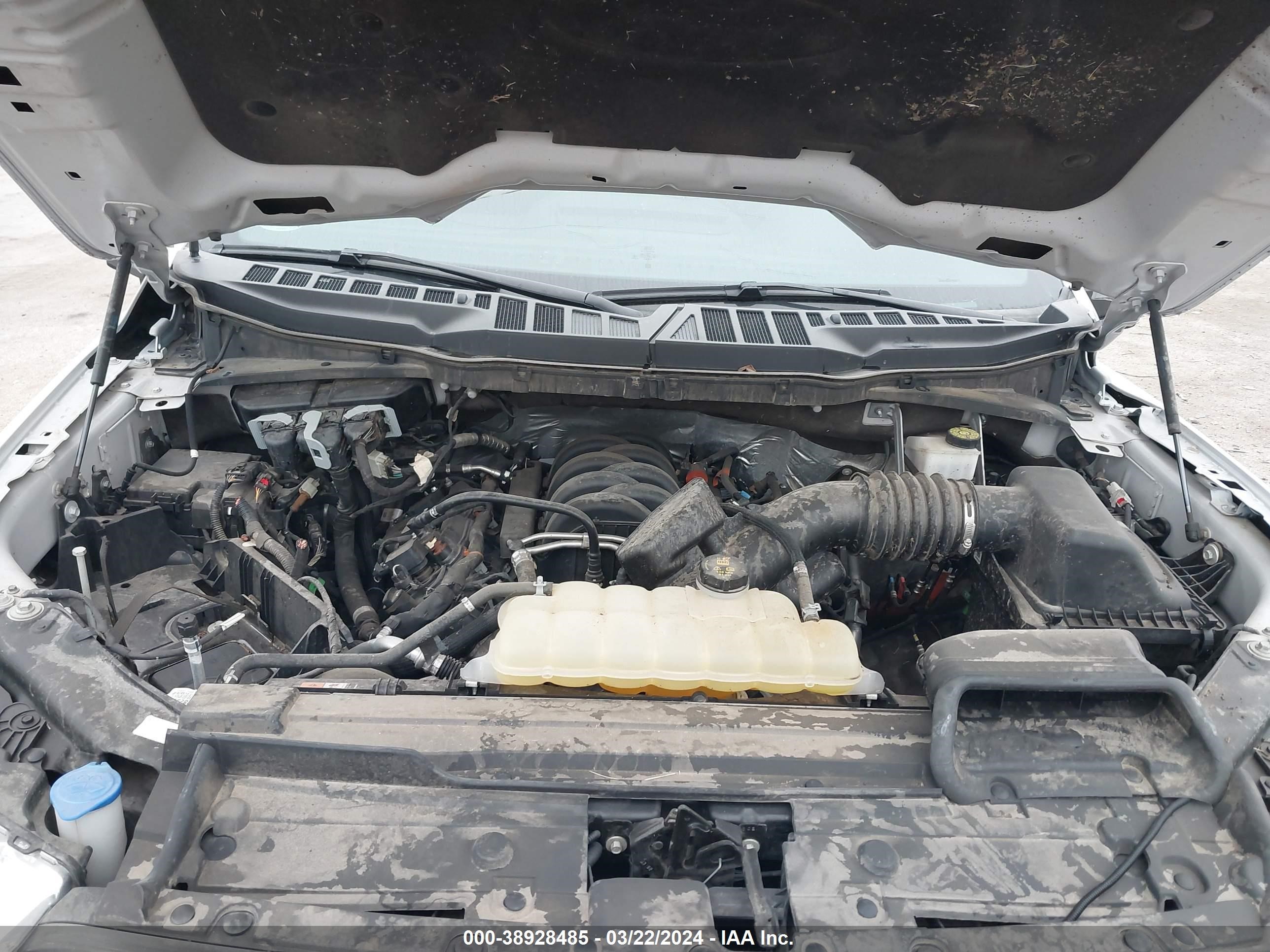 Photo 9 VIN: 1FTFW1E50MKE88735 - FORD F-150 