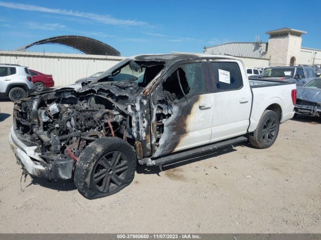 Photo 1 VIN: 1FTFW1E52MFA77636 - FORD F-150 