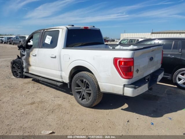 Photo 2 VIN: 1FTFW1E52MFA77636 - FORD F-150 