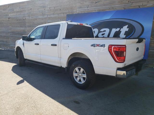 Photo 1 VIN: 1FTFW1E53MFB02270 - FORD F-150 