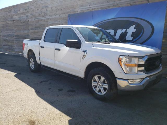 Photo 3 VIN: 1FTFW1E53MFB02270 - FORD F-150 