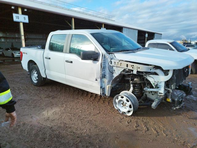 Photo 3 VIN: 1FTFW1E56MFD10160 - FORD F150 SUPER 