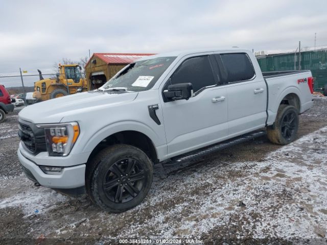 Photo 1 VIN: 1FTFW1E59MKE86143 - FORD F-150 