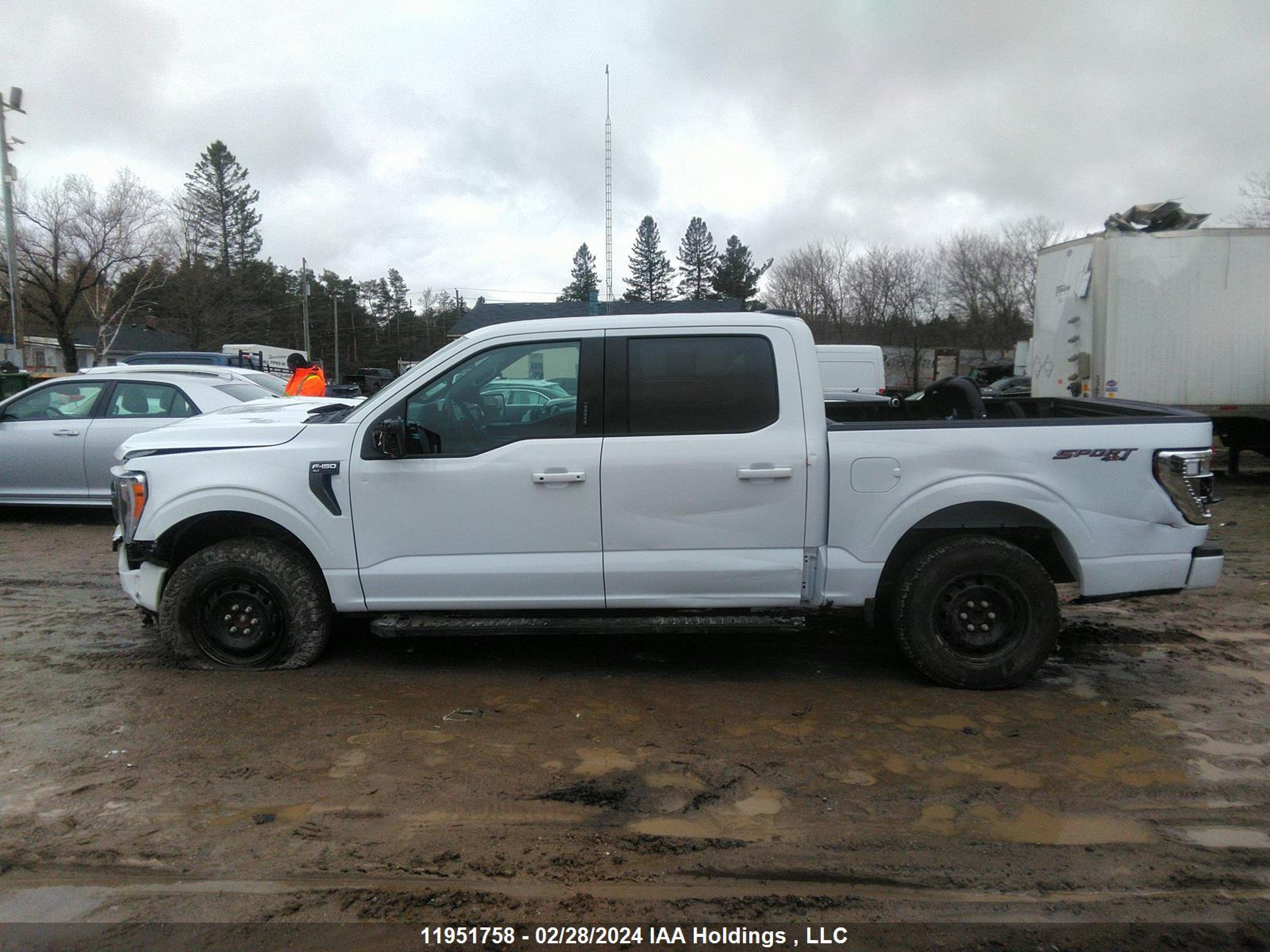 Photo 14 VIN: 1FTFW1E59PFC52775 - FORD F-150 