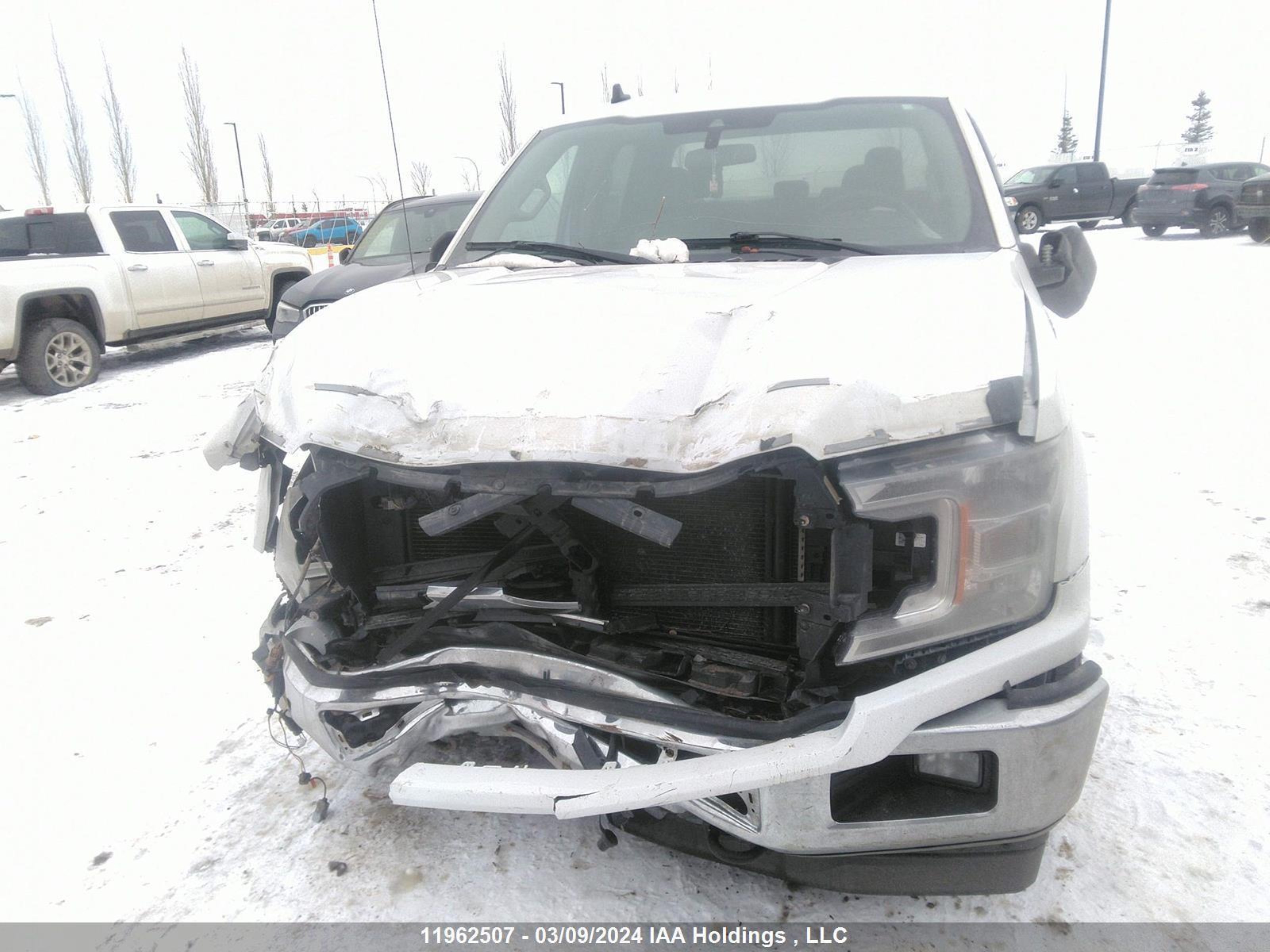 Photo 11 VIN: 1FTFW1E5XKFA24311 - FORD F-150 