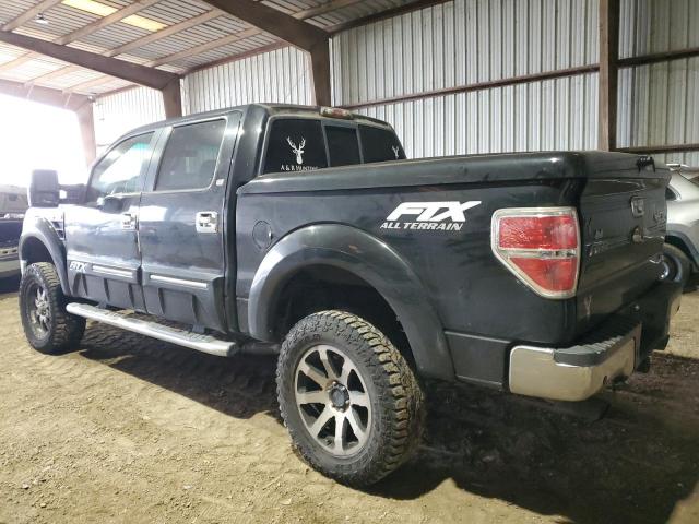 Photo 1 VIN: 1FTFW1E63BFB72292 - FORD F-150 