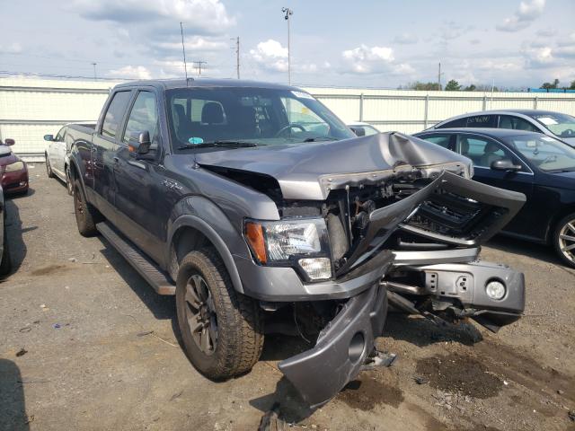 Photo 0 VIN: 1FTFW1E64DFD74125 - FORD F150 SUPER 