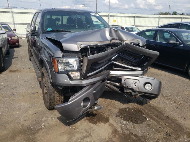 Photo 8 VIN: 1FTFW1E64DFD74125 - FORD F150 SUPER 