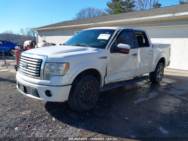 Photo 1 VIN: 1FTFW1E6XBFA88907 - FORD F-150 