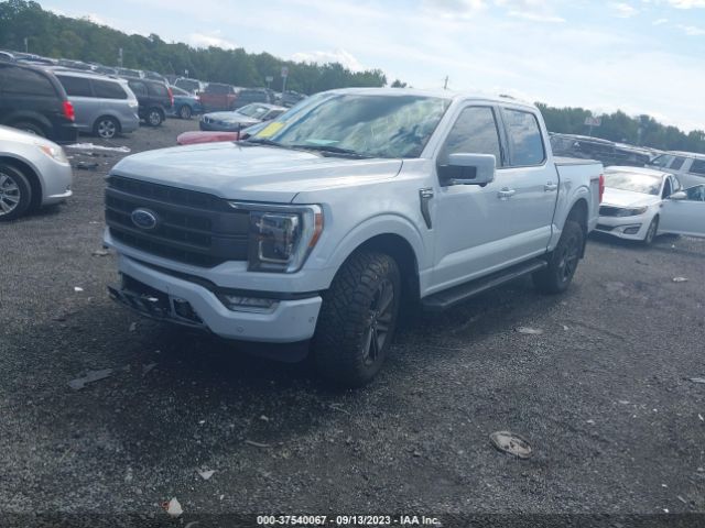 Photo 1 VIN: 1FTFW1E81MKD64595 - FORD F-150 