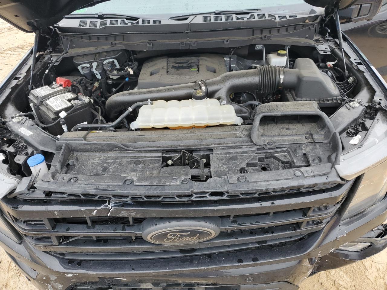 Photo 10 VIN: 1FTFW1E81PFA27826 - FORD F-150 