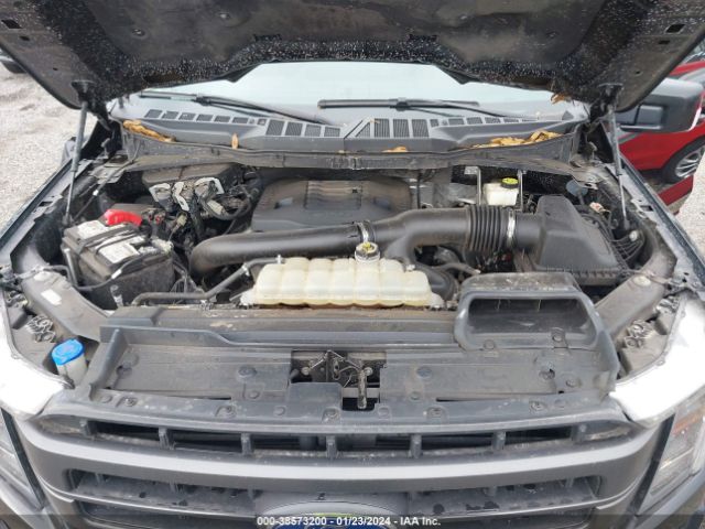 Photo 9 VIN: 1FTFW1E83MFA79597 - FORD F-150 