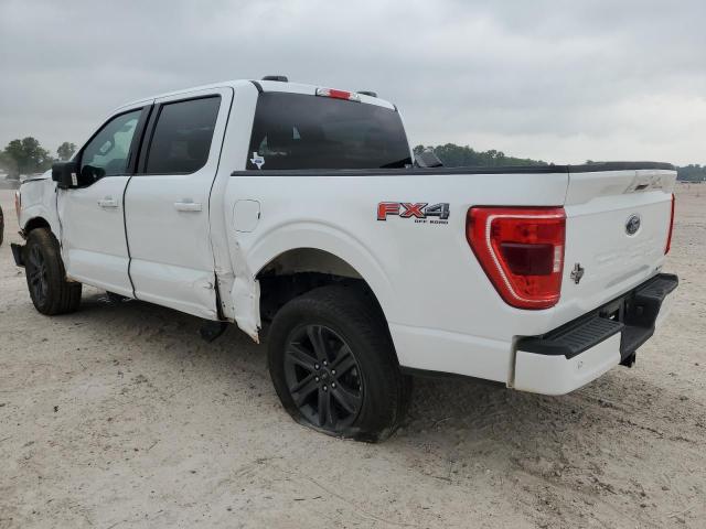 Photo 1 VIN: 1FTFW1E83PFB49054 - FORD F-150 