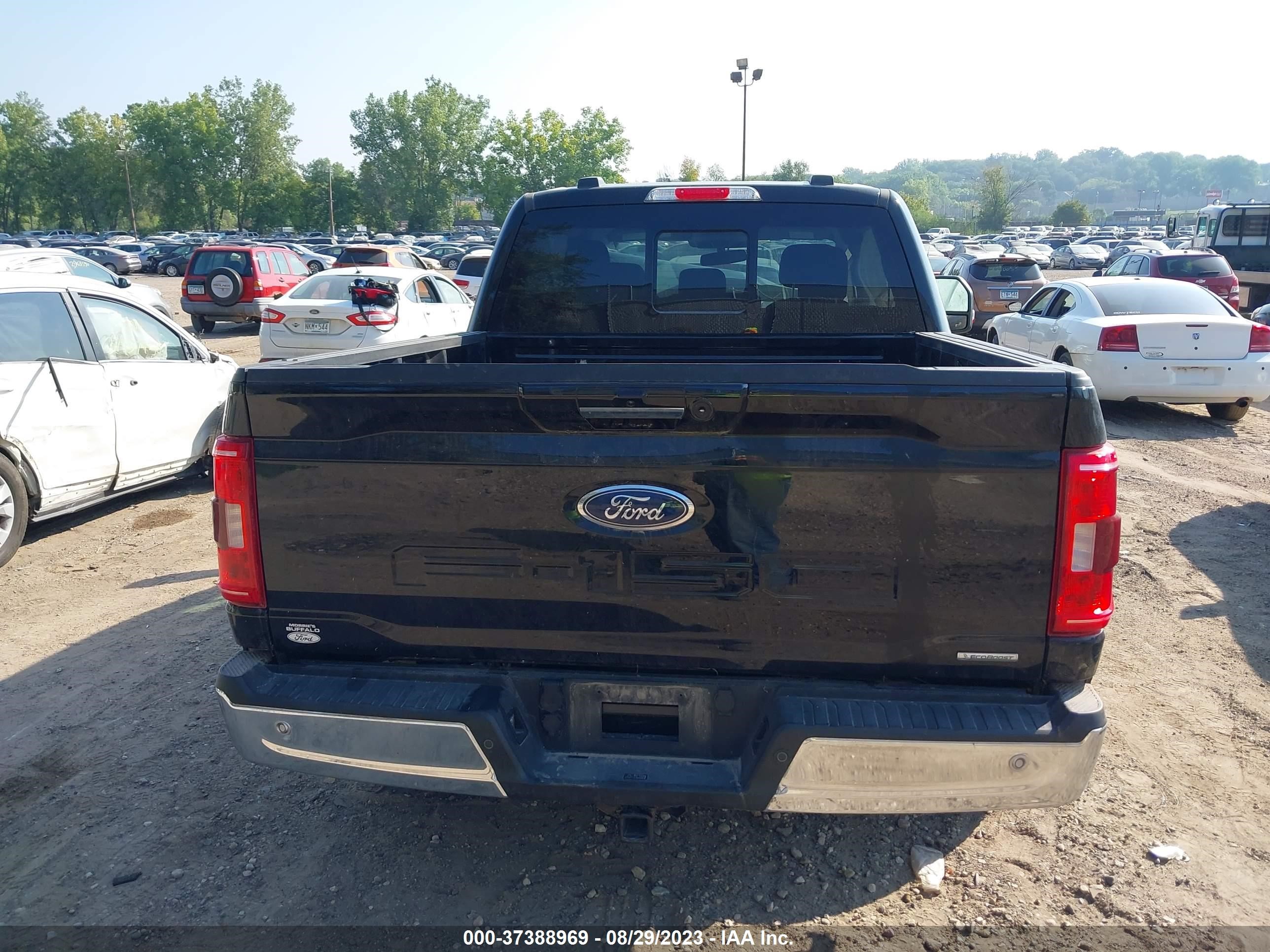 Photo 15 VIN: 1FTFW1E86MFC06813 - FORD F-150 