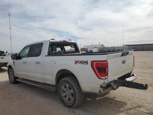 Photo 1 VIN: 1FTFW1E87MFC64705 - FORD F-150 