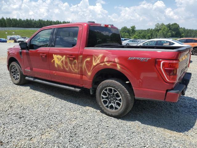 Photo 1 VIN: 1FTFW1ED0MFB11743 - FORD F150 SUPER 