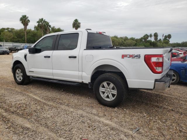 Photo 1 VIN: 1FTFW1ED0MFB53474 - FORD F150 SUPER 