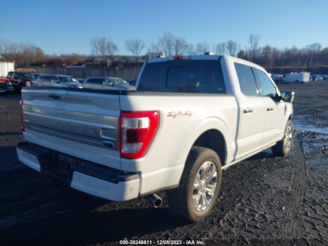 Photo 3 VIN: 1FTFW1ED4MFB18727 - FORD F-150 