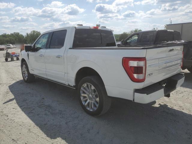 Photo 1 VIN: 1FTFW1ED7MFB09570 - FORD F-150 