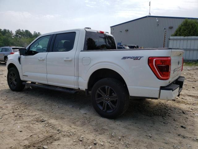 Photo 1 VIN: 1FTFW1ED7MFC57346 - FORD F150 SUPER 