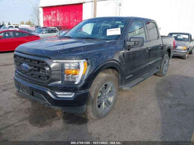 Photo 1 VIN: 1FTFW1ED7NFA36248 - FORD F-150 