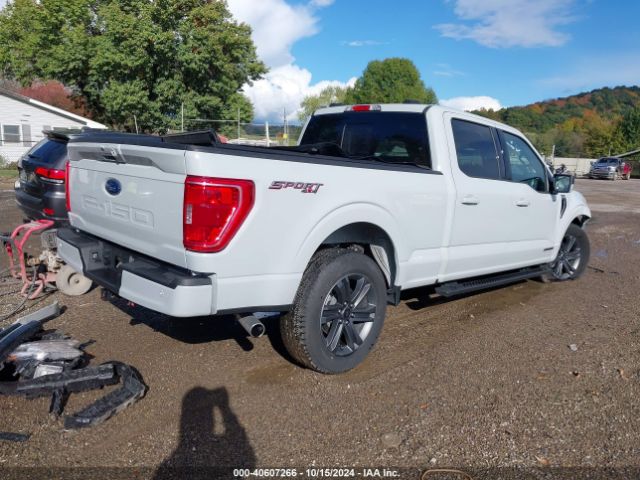 Photo 3 VIN: 1FTFW1ED7PFB64234 - FORD F-150 