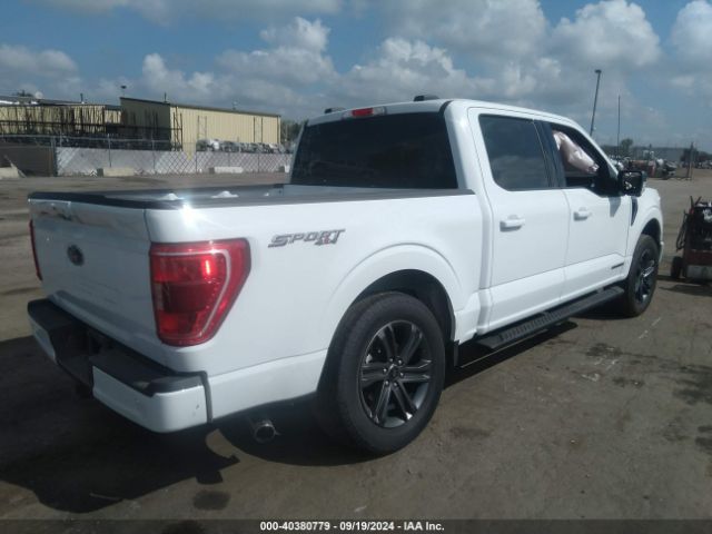 Photo 3 VIN: 1FTFW1ED8PFD07966 - FORD F-150 