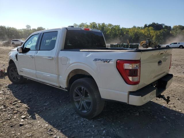 Photo 1 VIN: 1FTFW1EDXPFD02199 - FORD F150 SUPER 