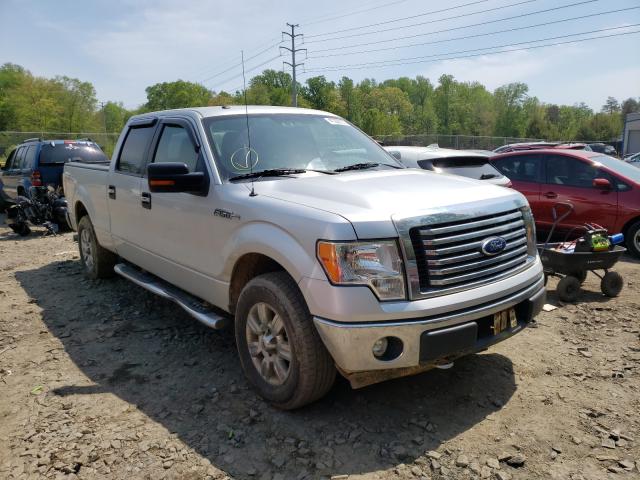 Photo 8 VIN: 1FTFW1EF0BFB30422 - FORD F150 SUPER 