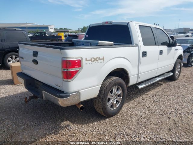 Photo 3 VIN: 1FTFW1EF0BFB37807 - FORD F-150 